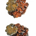 Arior Barcelona  oorstekers kholl ochre