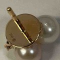 Ehinger Schwarz 1876 Perla oorstekers 00154322
