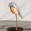 Bird Almond beige